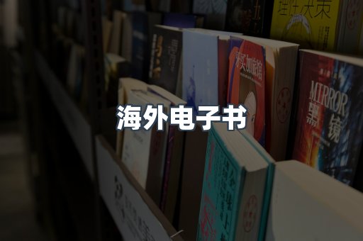 海外电子书